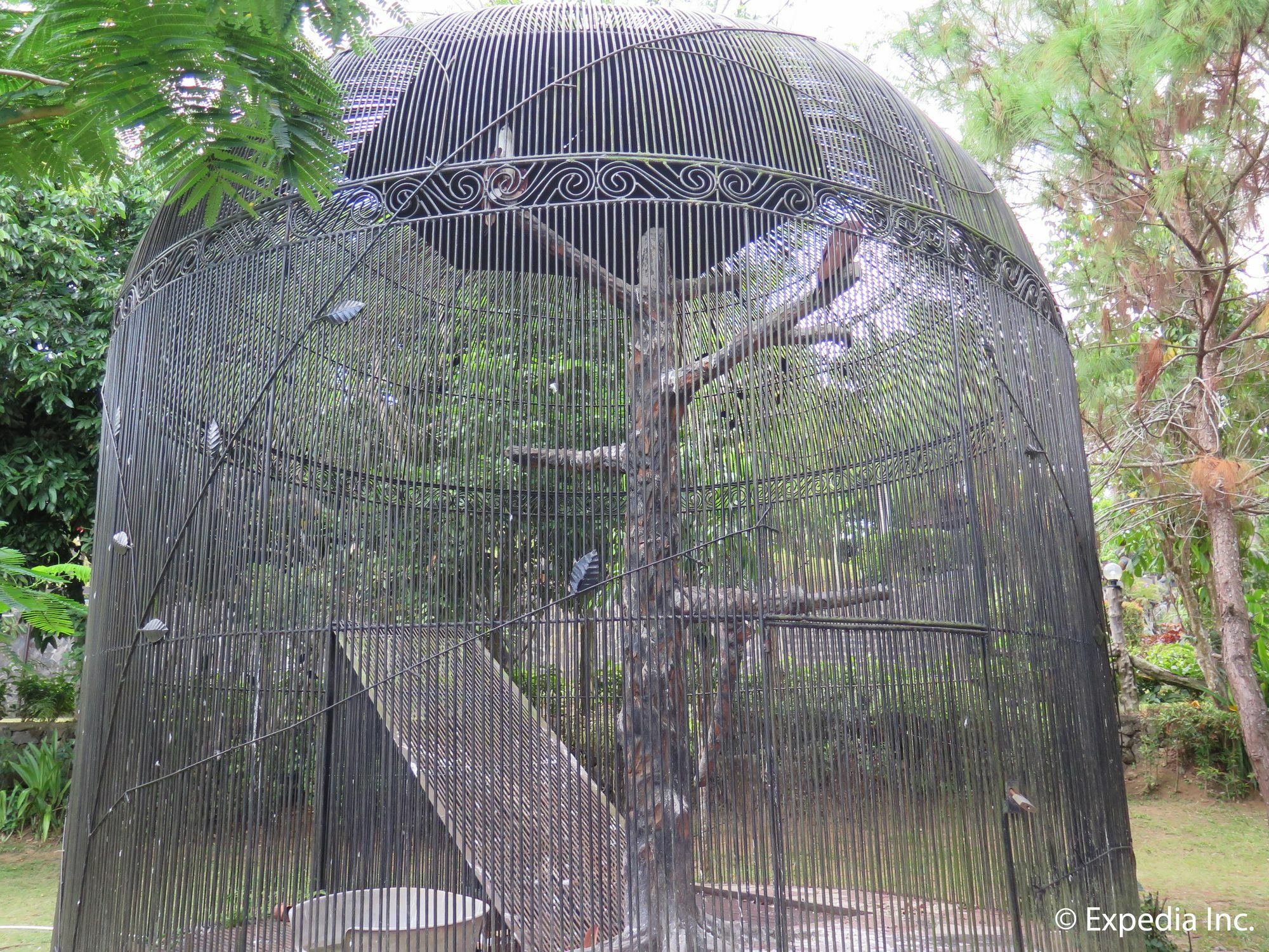 Cintai Corito'S Garden Villa Batangas City Kültér fotó